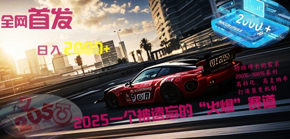 全网首发：2025一个被遗忘的“火爆”赛道轻松日入多张-互联网创业终点站