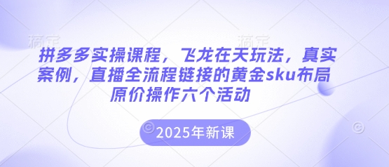 拼多多实操课程，飞龙在天玩法，真实案例，直播全流程链接的黄金sku布局原价操作六个活动-互联网创业终点站