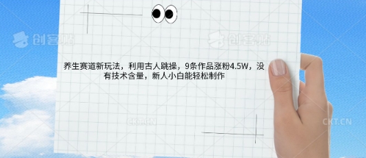 AI养生赛道新玩法，10条作品涨粉5.2W，操作简单，新人小白能轻松制作-互联网创业终点站