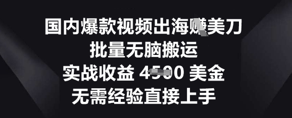 国内爆款视频出海挣美刀，批量无脑搬运，实战收益4.5k，无需经验直接上手-互联网创业终点站