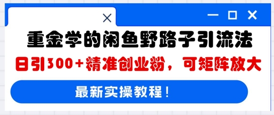 重金学的闲鱼野路子引流法，日引300+精准创业粉，可矩阵放大-互联网创业终点站