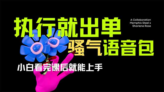 （14170期）爆火全网的开车导航骚气语音包,只要执行就出单，小白看完课程就能实操...-互联网创业终点站