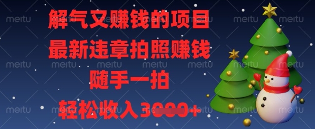 解气又挣钱的项目，最新违章拍照挣钱，随手一拍，轻松收入数张【揭秘】-互联网创业终点站